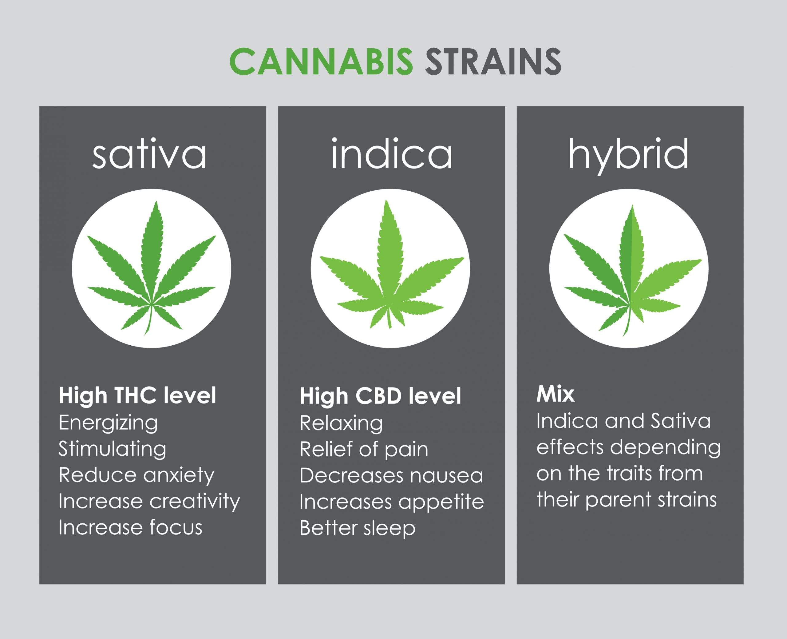 cannabis strains