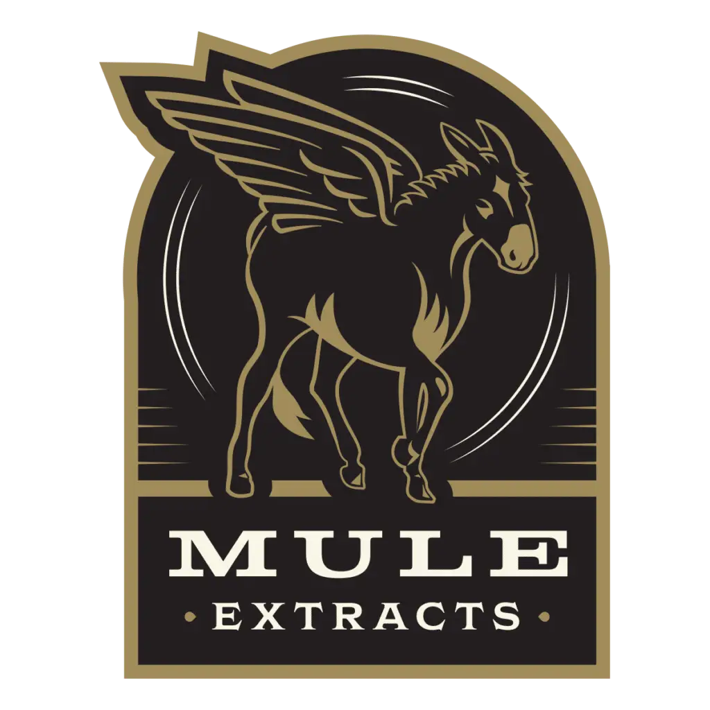 Mule